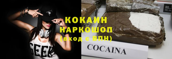 прущие грибы Богородицк