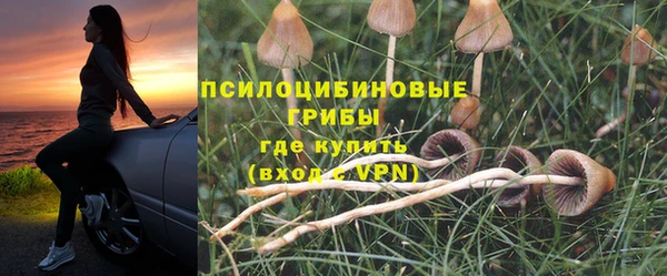 таблы Богданович