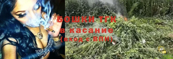 таблы Богданович