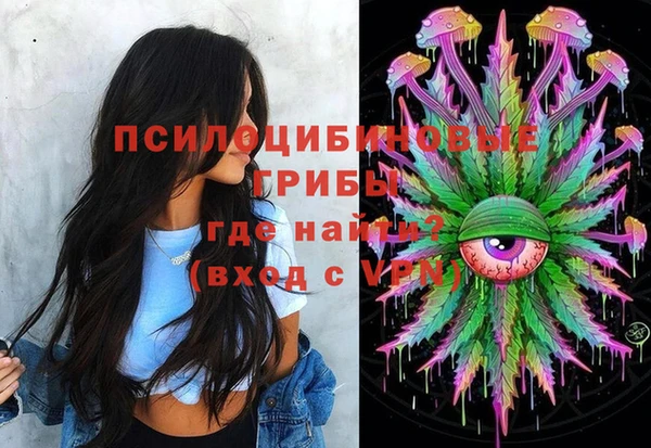 таблы Богданович