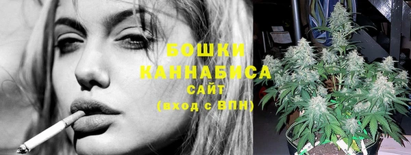 прущие грибы Богородицк