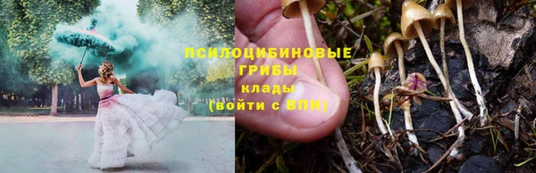 а пвп мука Богородск