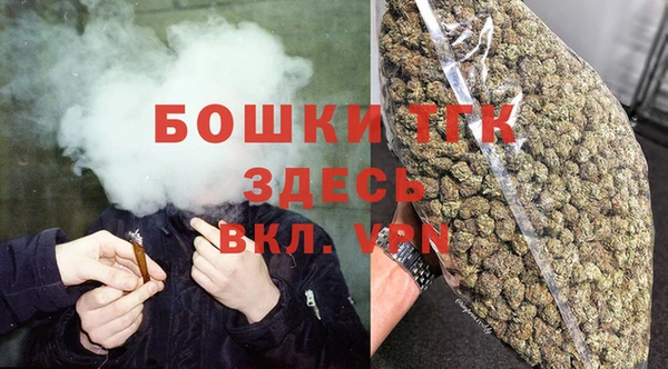 прущие грибы Богородицк