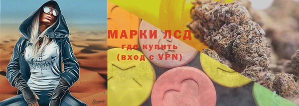 прущие грибы Богородицк